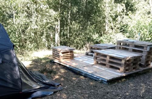 Arignano Autre | il bosco