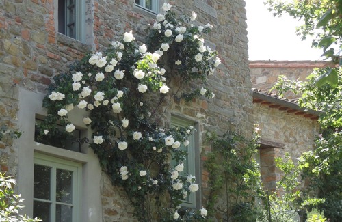 Poggio Alla Croce Maison | Le Braconnier, luxe in Chianti - Wifi, piscine, parking