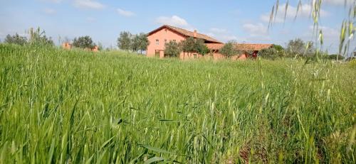Aprilia Lit Et Petit-Déjeuner | Il Casale di Giulia di Aprilia