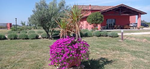Aprilia Lit Et Petit-Déjeuner | Il Casale di Giulia di Aprilia