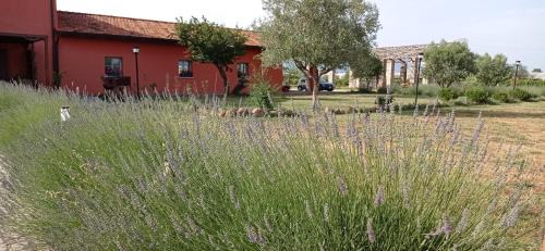 Aprilia Lit Et Petit-Déjeuner | Il Casale di Giulia di Aprilia