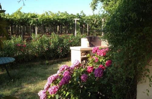 Tollo Villa | Il casale tra le vigne e il mare