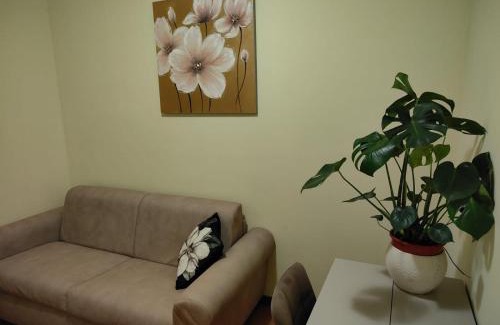 Pieve di Chio Appartement | Il Castellare
