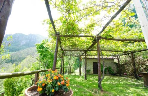 Stazzema Maison | Il Frutteto Natura a Relax