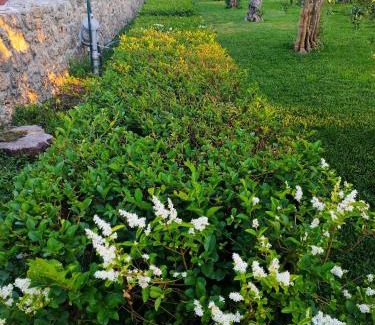 Paestum Appartement | Il Giardino di Athena 1