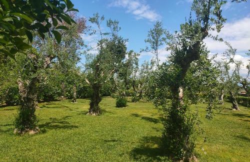 Paestum Maison | IL GIARDINO DI ATHENA