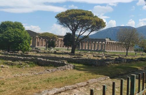 Paestum Maison | IL GIARDINO DI ATHENA