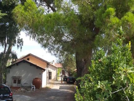 San Sostene Marina Lit Et Petit-Déjeuner | Il pino marittimo