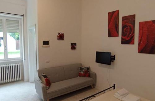 Cremona Appartement | Il roseto di Cremona, luminoso monolocale indipendente