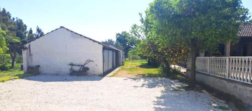 Santi Cosma e Damiano Appartement | Il Verde Rifugio