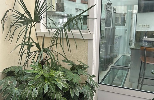 Saint-Victor Appartement | Ile Saint Louis: le meilleur endroit de Paris, un endroit fabuleux