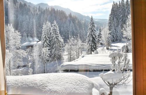 Hopfgarten im Brixental Chalet De Ski | Im Wald