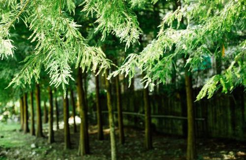 Puli Maison | Immanuel Forest Homestay