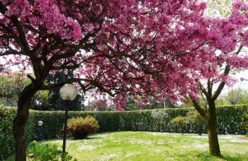 Cassina de' Pecchi Lit Et Petit-Déjeuner | In Giardino B&B
