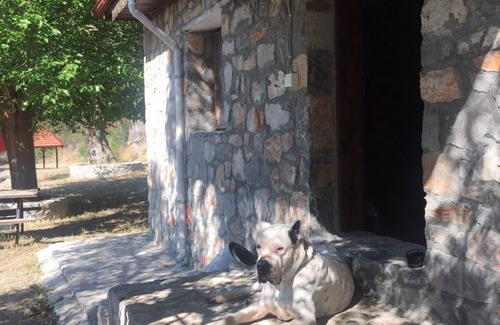Ortaca Autre | İn nature silent, close to Iztuzu Beach in Dalyan and Eco-trail bicycle road