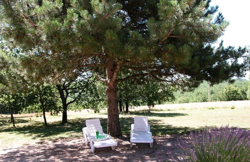 Salignac-Eyvignes Cottage | En Pleine nature, près de Sarlat, gîte avec piscine couverte et chauffée