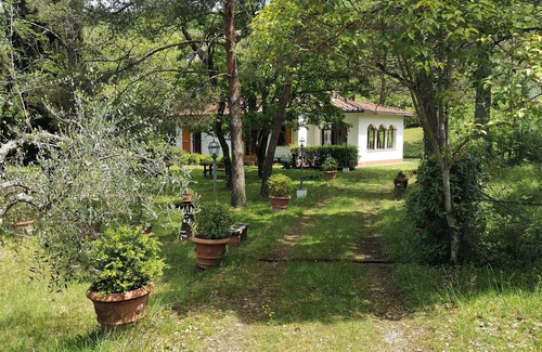 Rufina Maison | In the greenery and silence