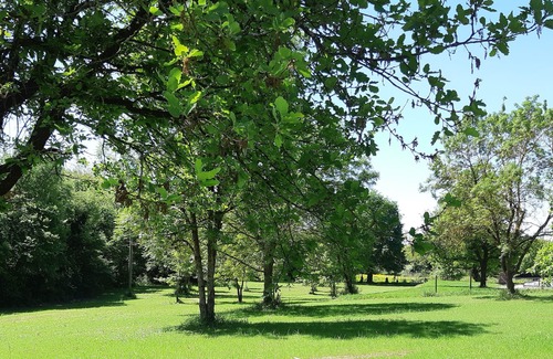 Lacourt-Saint-Pierre Maison | In the heart of a 1-hectare wooded island of greenery