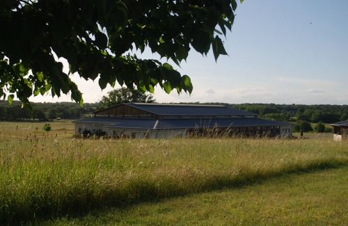 Saumur Appartement | En pleine nature entre le Cadre Noir et Saumur! 4