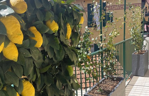 Santa Margherita Ligure Appartement | In the center of Santa Margherita, two floors, just renovated