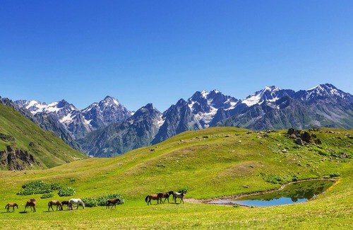 Bagvdanari Hôtel | In the middle of nature, closest to popular hiking trails and winter ski runs