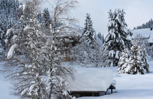 Blasiwald Appartement | dans le sud de la Forêt-Noire. Nature pure, près du lac, familial