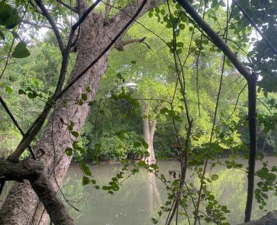 Polonnaruwa Station Balnéaire | In the Wild by RoamCeylon
