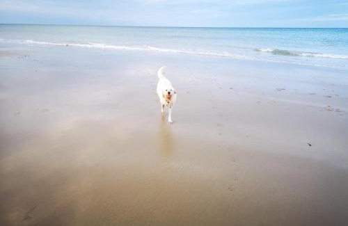 East Runton Lit Et Petit-Déjeuner | Incleborough House B & B