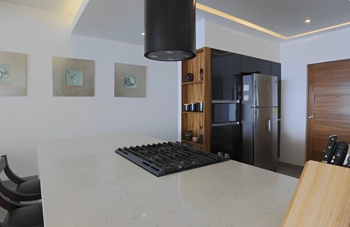 Boulevard Barra Vieja Appartement | Incredible penthouse with ocean views