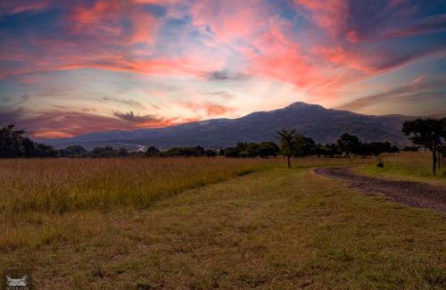 Emakhazeni Autre | Indabushe Eco Lodge