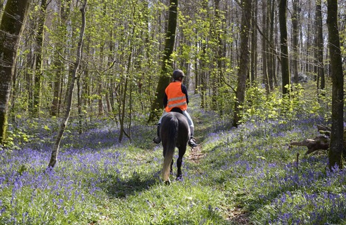 Aubermesnil-aux-Erables Appartement | studio indépendant dans propriété avec chevaux et chemins de randonnée proche