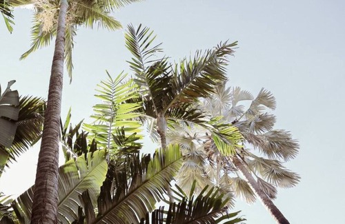 Edge Hill Villa | Industrial Luxe Villa - Boutique Luxury 1 bedroom Villa