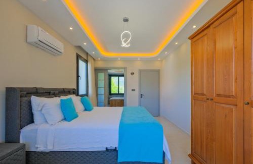 Yesiluzumlu Villa | Infinity Olive Villa