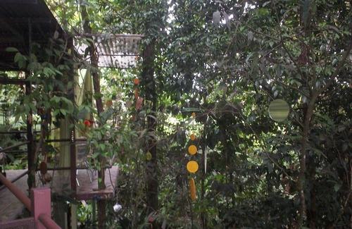 Aguas Zarcas Maison | Inlakech: tropical, magique et charme
