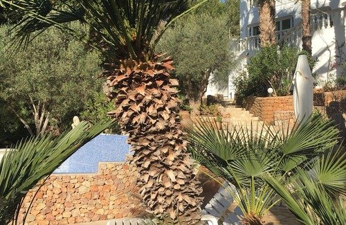 Santa Eulalia del Rio Appartement | Inmitten Eines Mediteranen Gartens, Terrassiert, Befindet Sich das Appartment