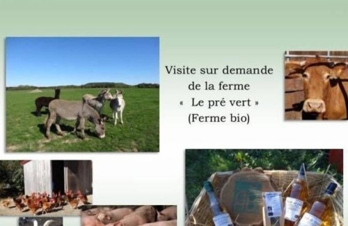 Vrecourt Cottage | Gîte Vrécourt, 3 pièces, 5 personnes
