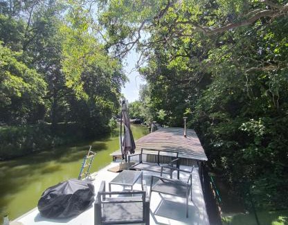 Gardouch Location De Bateaux | Insolite Péniche Amazonie canal du midi