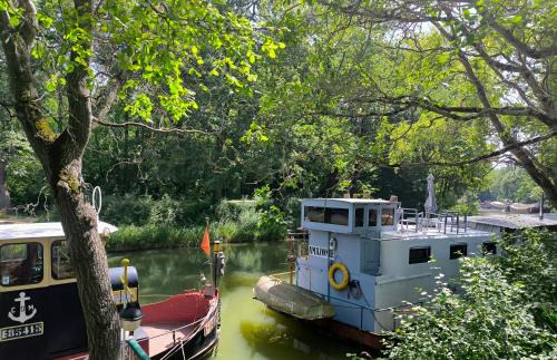 Gardouch Location De Bateaux | Insolite Péniche Amazonie canal du midi