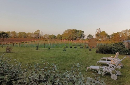 Pouldergat Cabine | Tonneau insolite panoramique, au pied des vignes et en bordure de forêt
