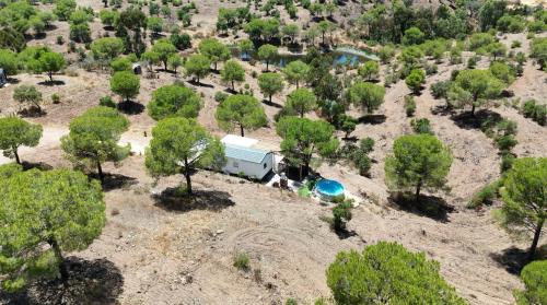 Martim Longo Autre | Into the wild