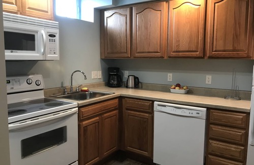 Munising Appartement | Inviting vacation apt. in town w A/C, short walk to Lk Superior, Food Trk, Pub