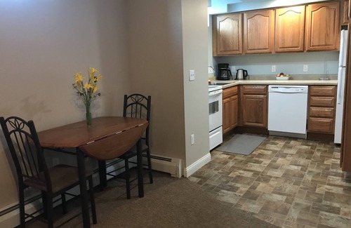 Munising Appartement | Inviting vacation apt. in town w A/C, short walk to Lk Superior, Food Trk, Pub