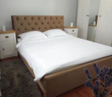 Oradea Appartement | Iosia Premium Apartment