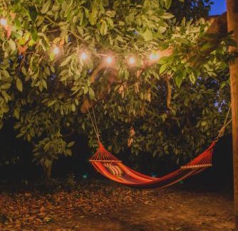 Pineios Maison | Irene's Treehouse