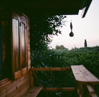 Pineios Maison | Irene's Treehouse