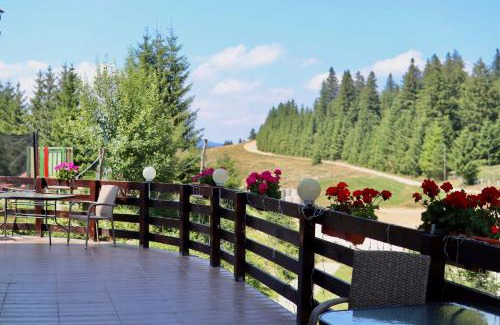 Paltinis Maison | Irenne