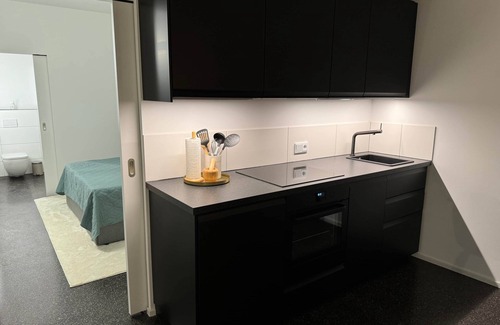 Griessen Appartement | Isaak Apartment Stadtperle
