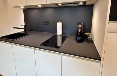 Waldshut-Tiengen Appartement | Isaak apartment "Löwenbau" E1-W07