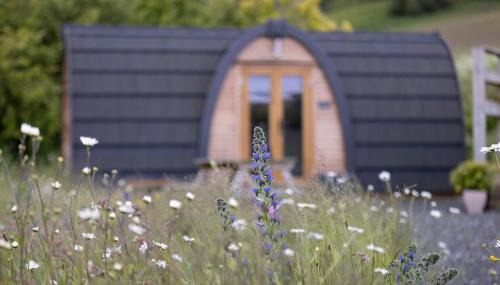 Blairgowrie Appartement | Isla Pod, Kilry eco pods