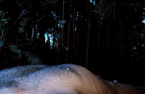 Maspotha Autre | Islandwide G camping